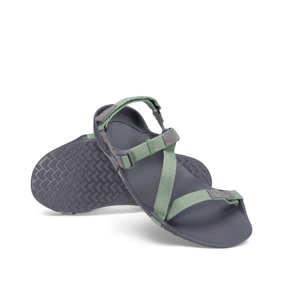 Sandalias  XERO Z-Trek - Men Camel 42