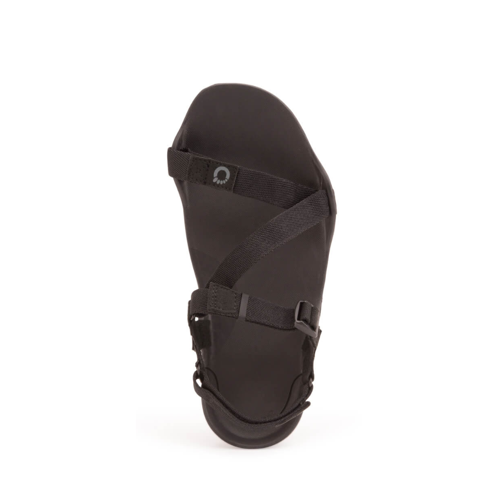 Sandalias  XERO Z-Trek - Men Marrón 46