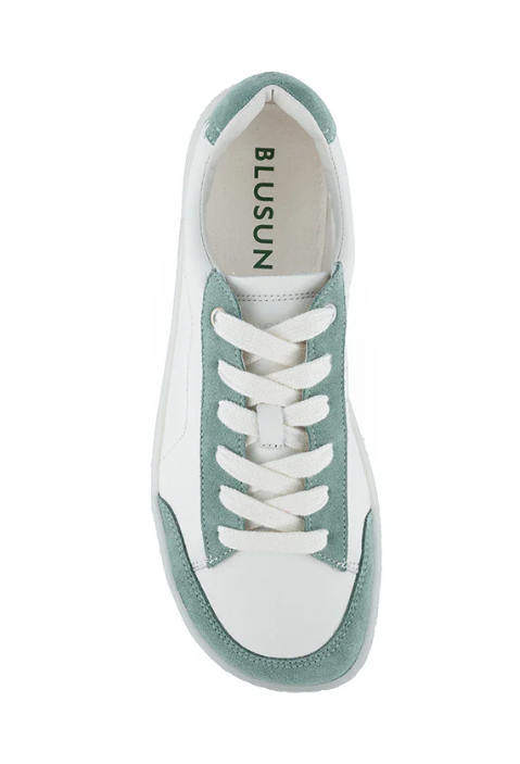 BLSN-500