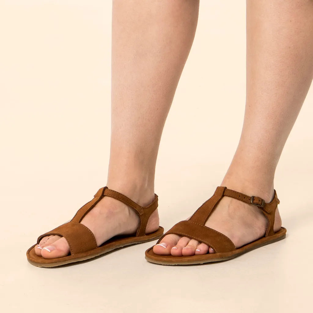 EL NATURALISTA Summer - N5686 Malva 38