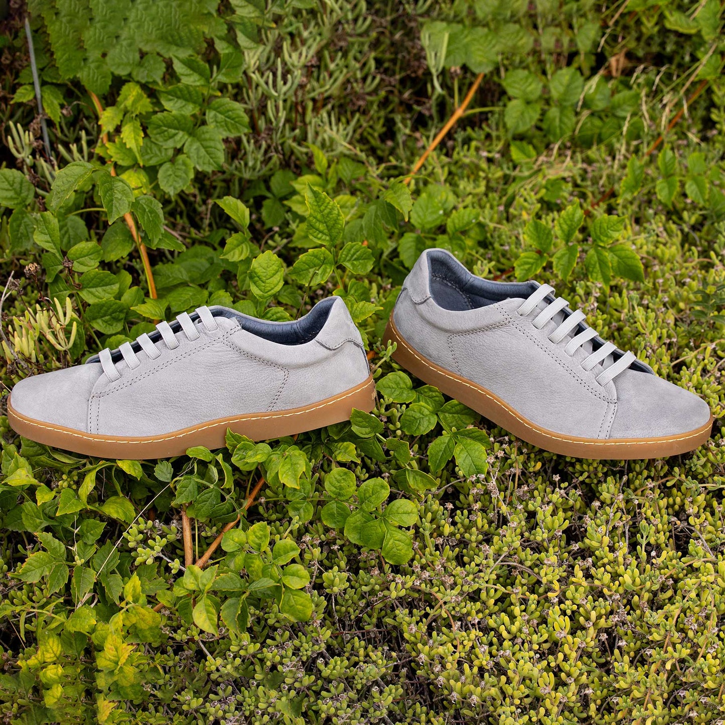 EL NATURALISTA Street - N5910L Malva 39