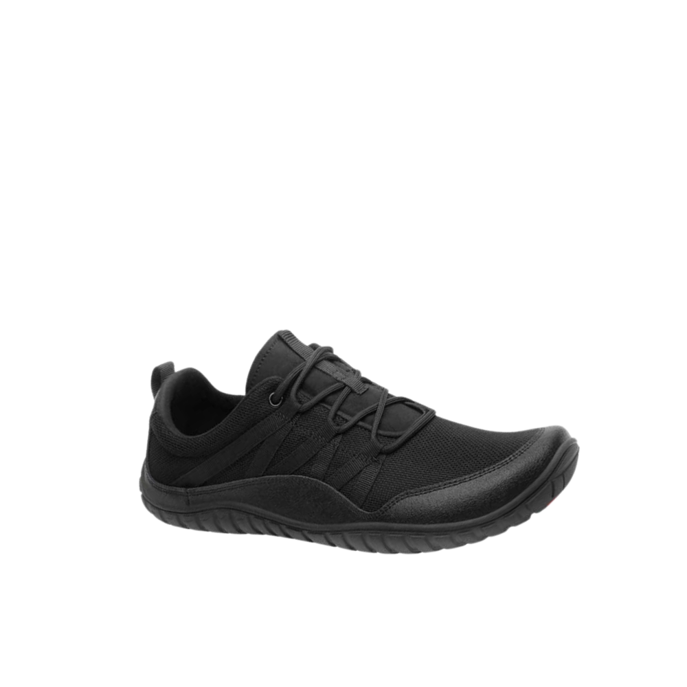 Forestep I