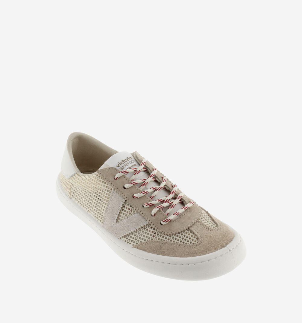 Elm mesh