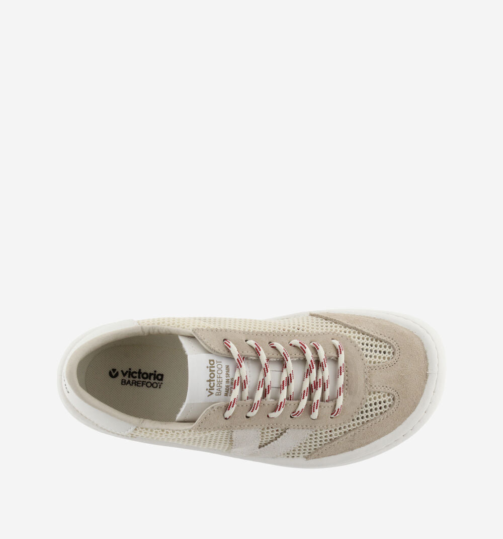 Elm mesh