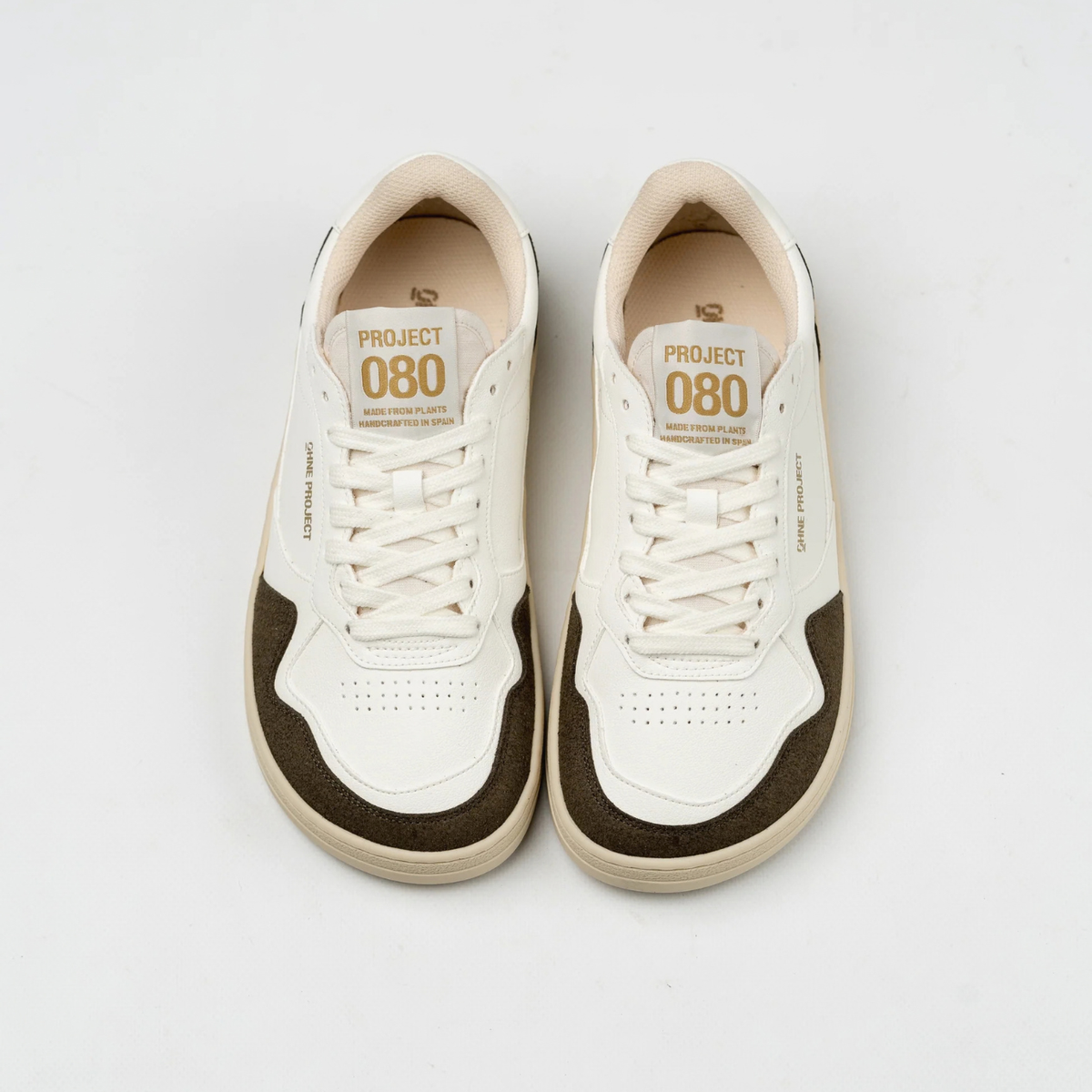 Project 080