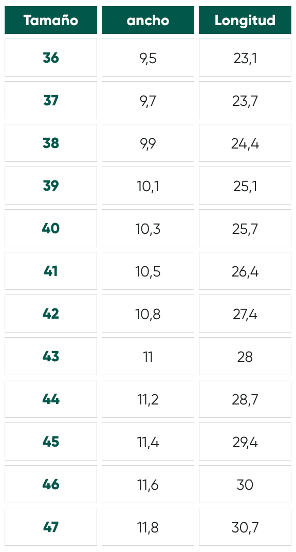 Size chart Rebound