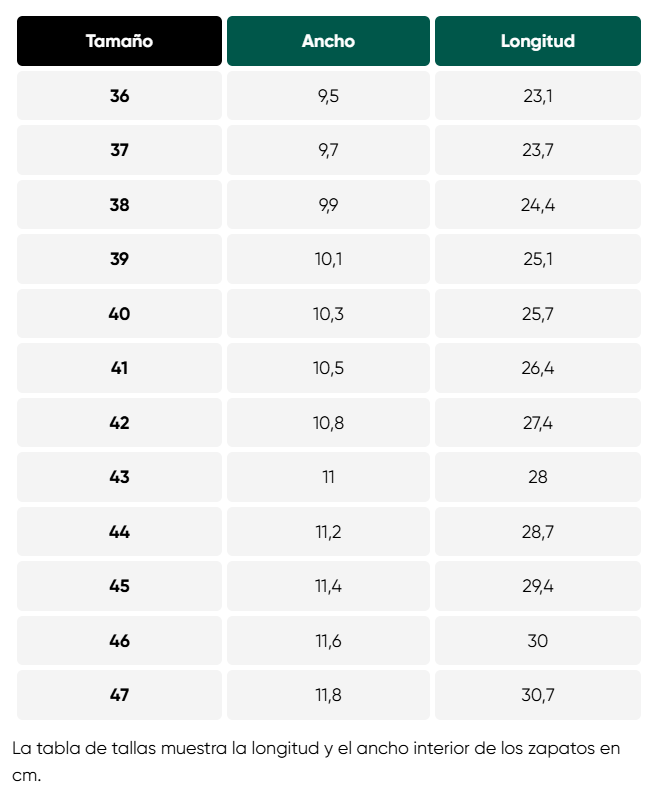 Size chart Rebound Edition